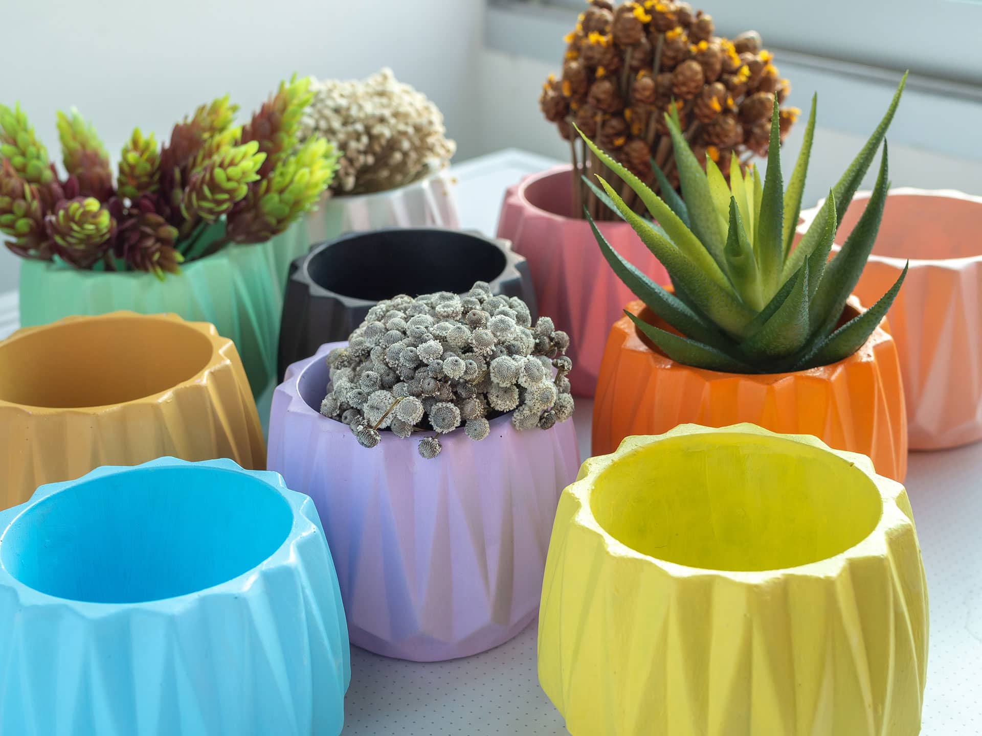 8 types of pots for small indoor plants to shine
