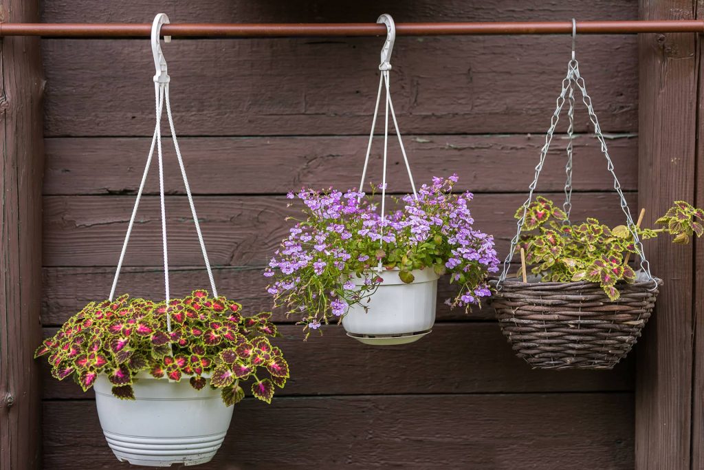hanging pot for indoor plants